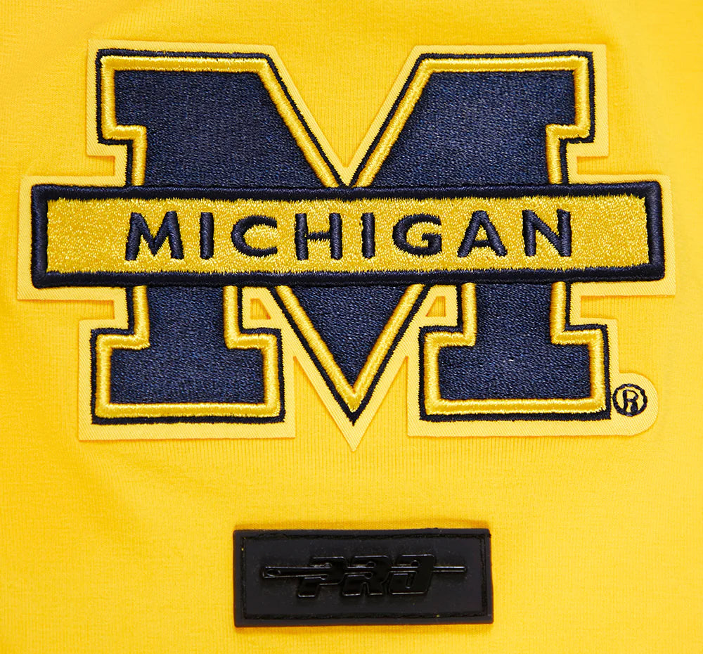 Michigan Wolverines - NCAA University Of Michigan Classic Men's Stacked Logo T-Shirt