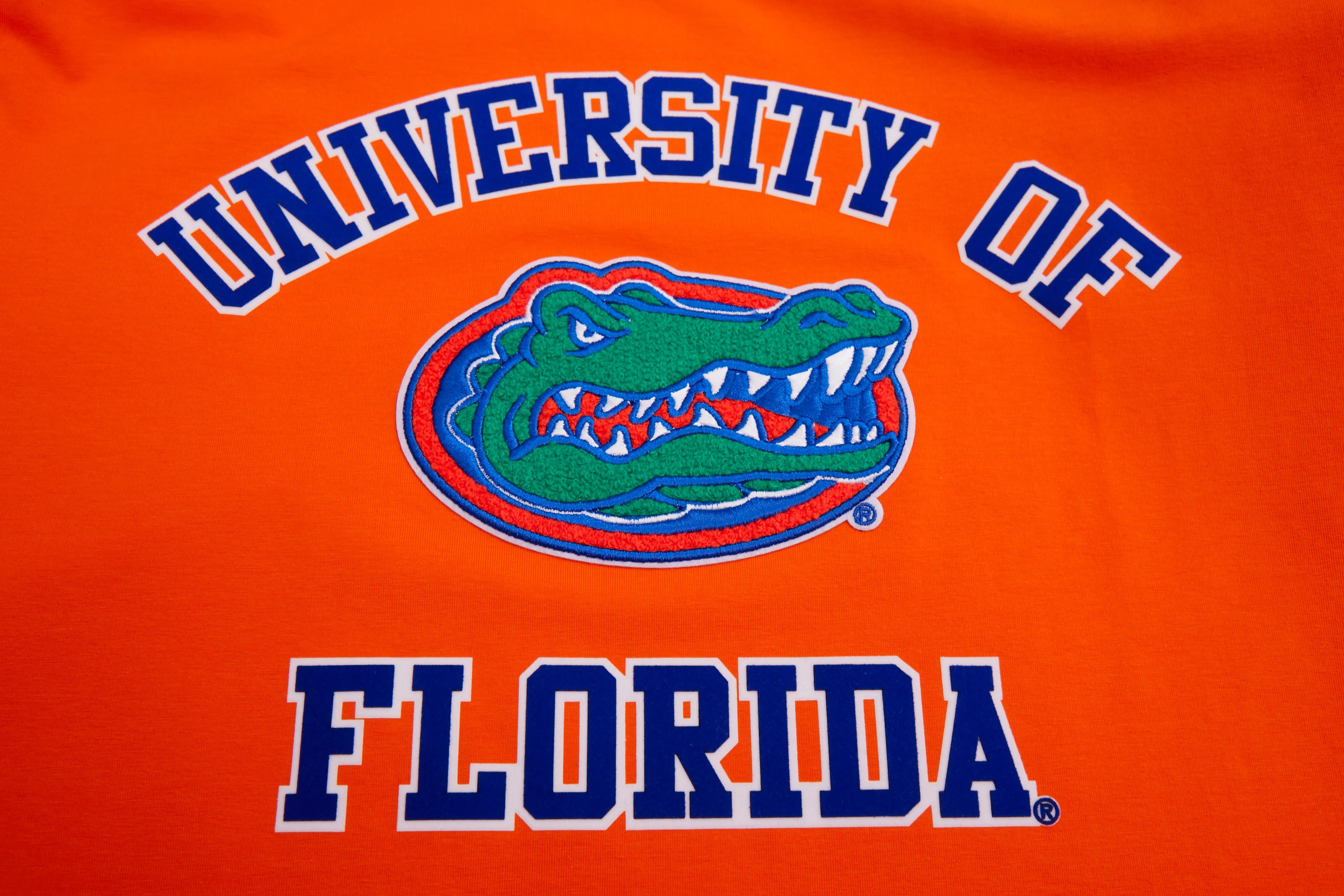 Florida Gators - NCAA University Of Florida Classic Men's Stacked Logo T-Shirt