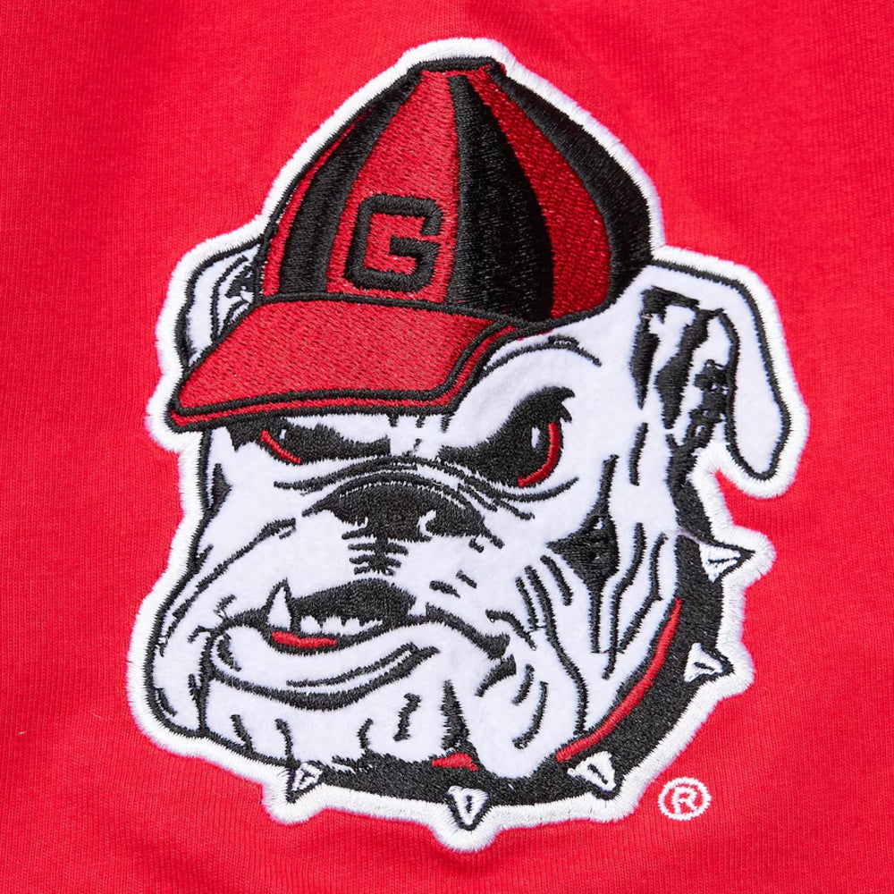 Georgia Bulldogs - NCAA Hometown Vintage Logo T-Shirt