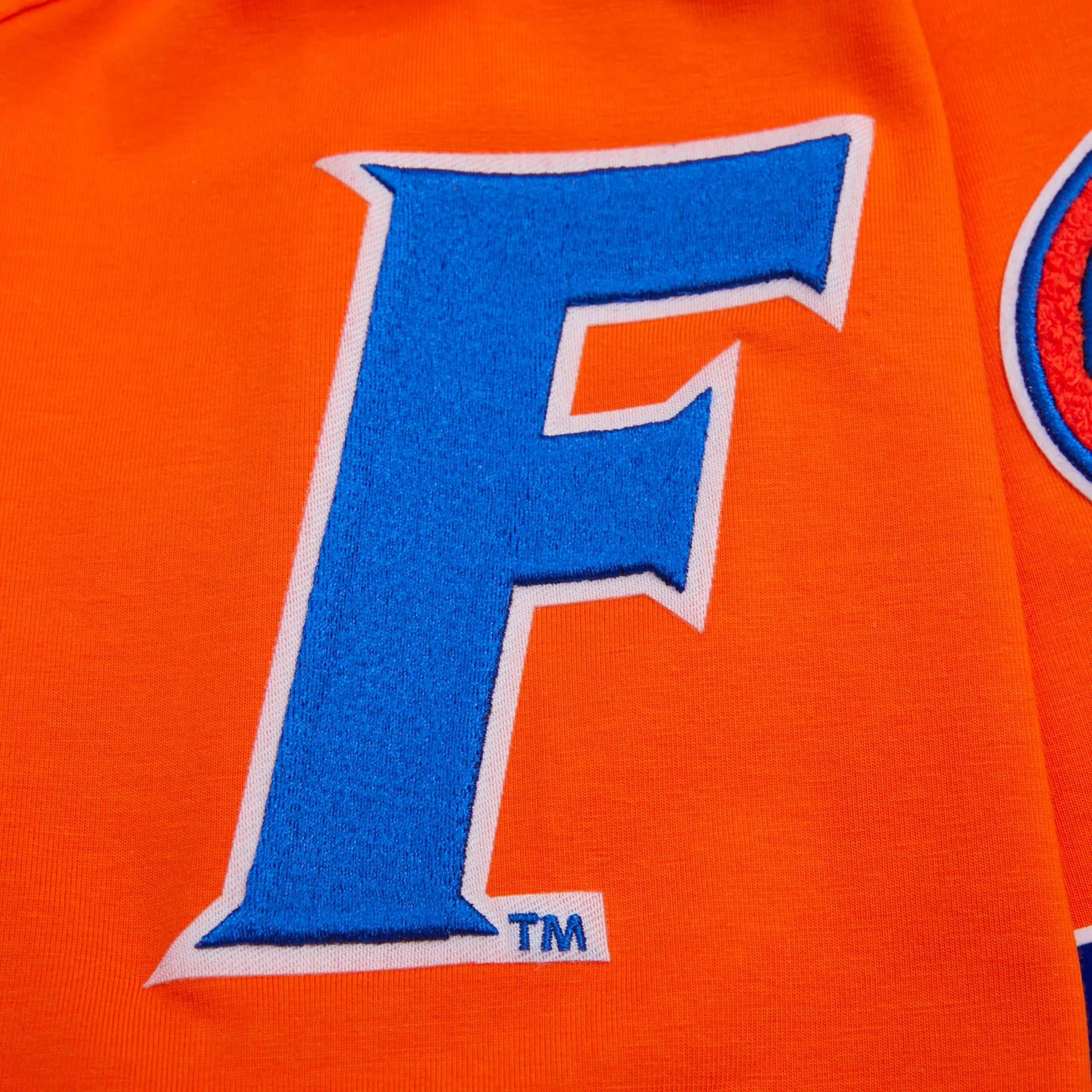 Florida Gators - NCAA University Of Florida Classic Men's Stacked Logo T-Shirt