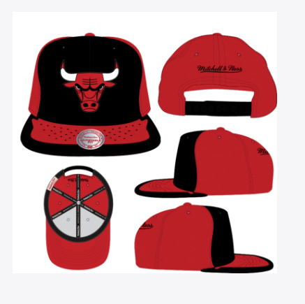 NBA Chicago Bulls Day One Snapback Red- Black  Hat