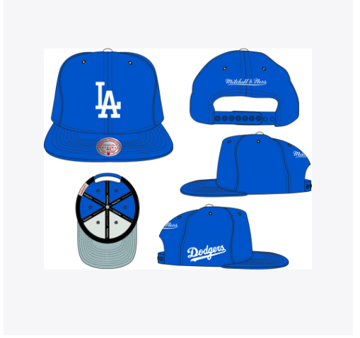 MLB Los Angeles Dodgers Evergreen Snapback Hat