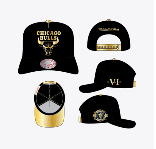 NBA Chicago Bulls Core VI Pro Snapback Hat